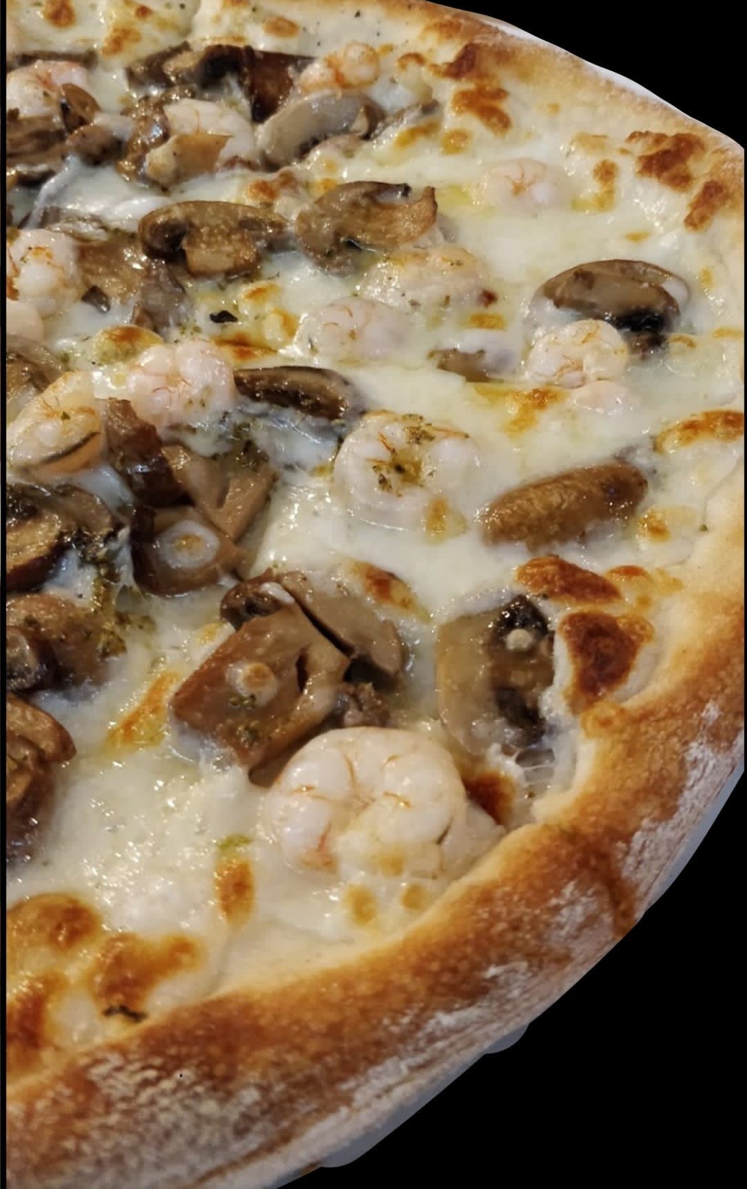 vista aerea pizza sobre gris